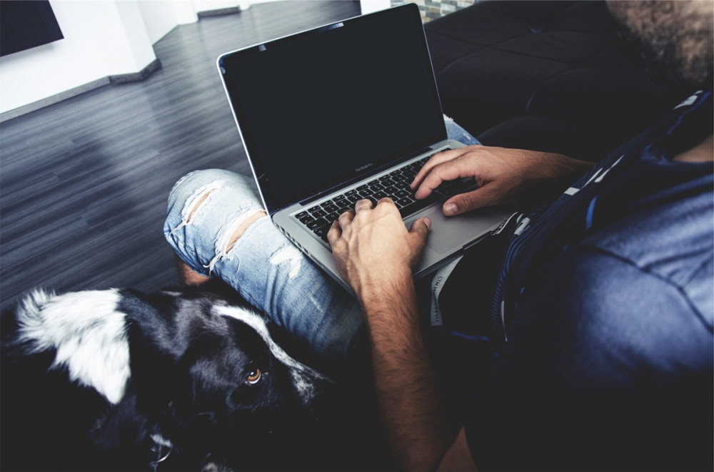 gazda ölében a laptop, mellette a kutyája