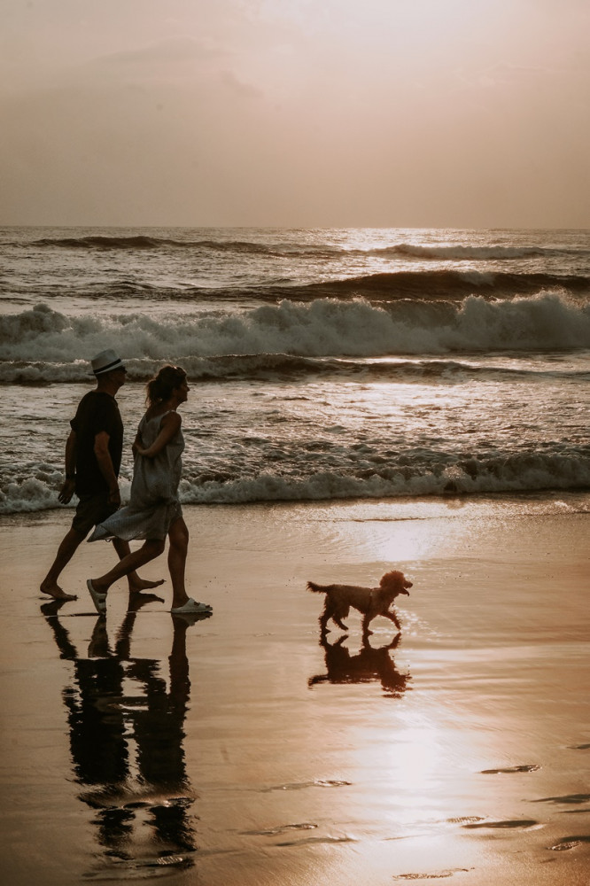 pár naplementében a tengerparton sétál kutyával