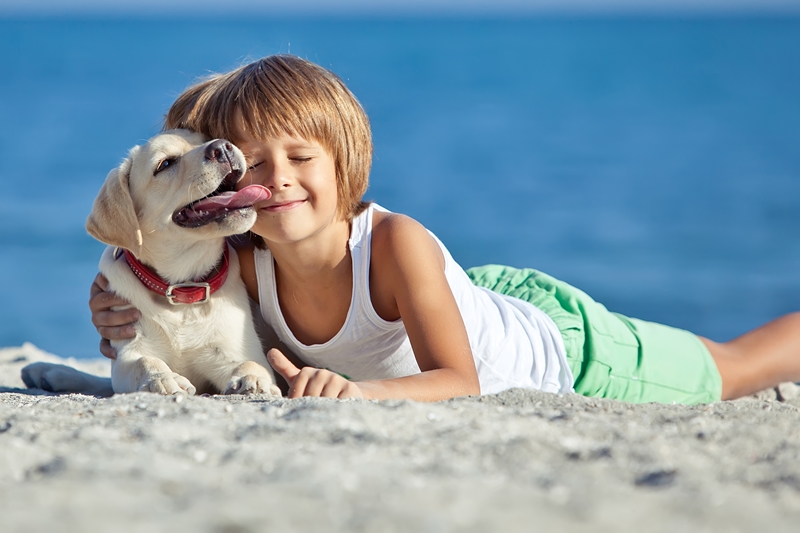nagyobbacska gyerek tengerparton hever a kutyájával, kutya puszit ad neki