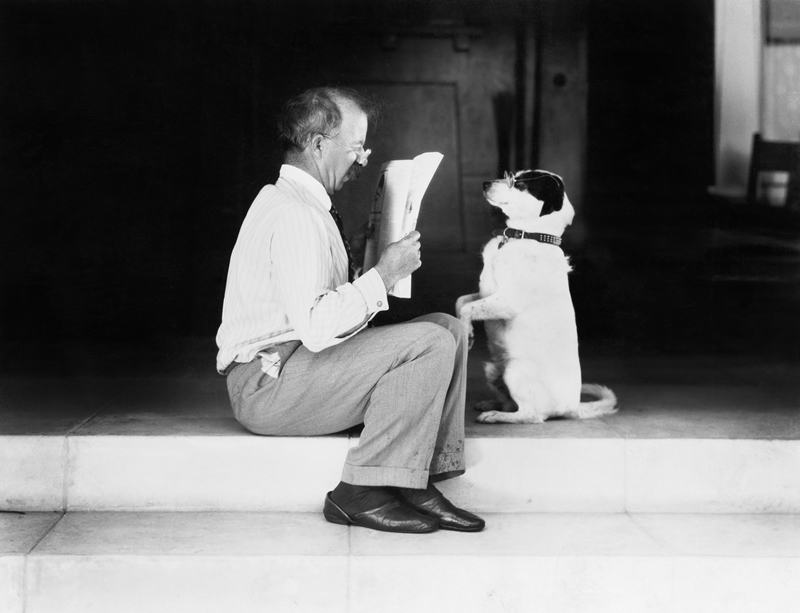 archív kép, gazda lépcsőn ülve újságból olvas a kutyának