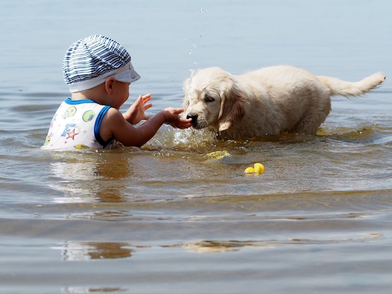 baba vízben ülve játszik a kutyával