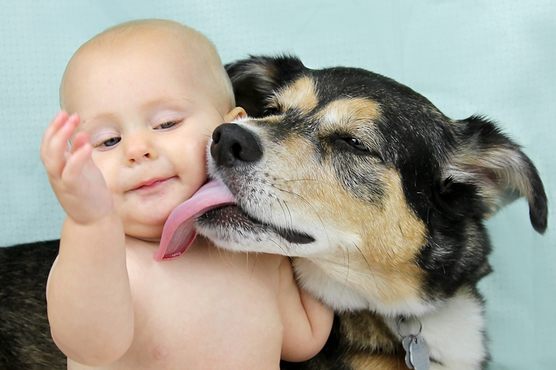 kutya a baba arcát nyalja, annak tetszik