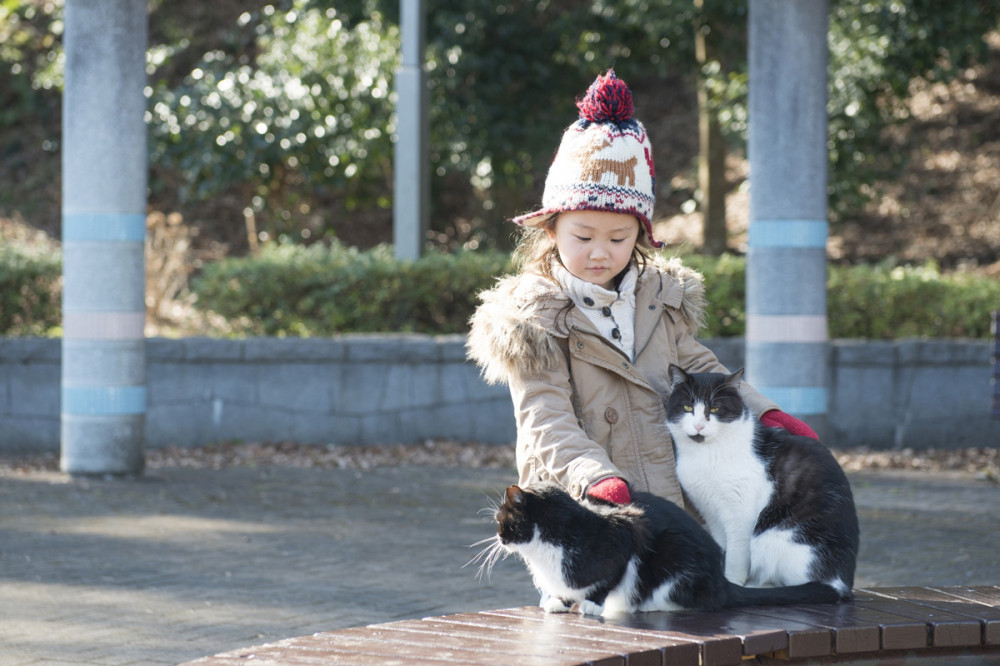 kislány cicákkal a parkban
