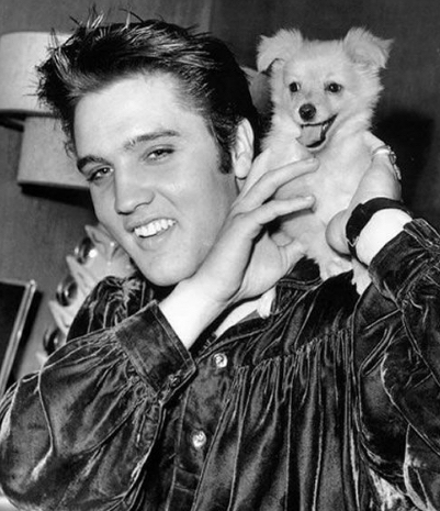 Elvis spicc kutyával a vállán