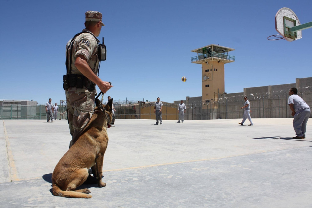 malinois katonai rendőr oldalán