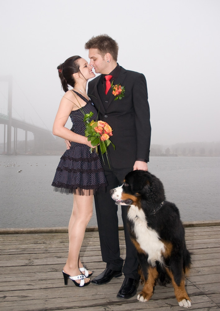 fiatal pár esküvői képe kutyával