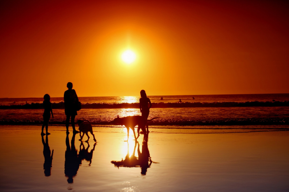séta a kutyákkal a naplementében