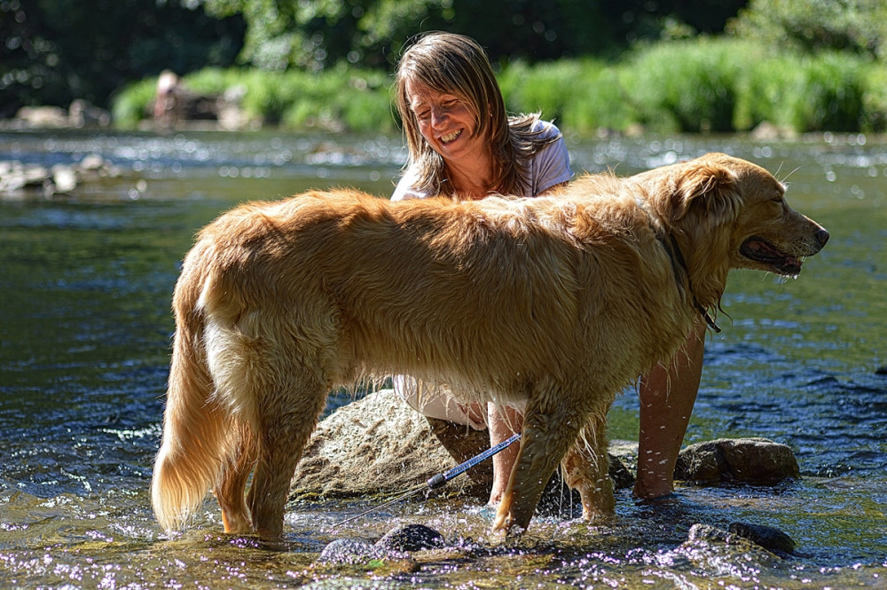 gazdi a patakban kutyát fürdet