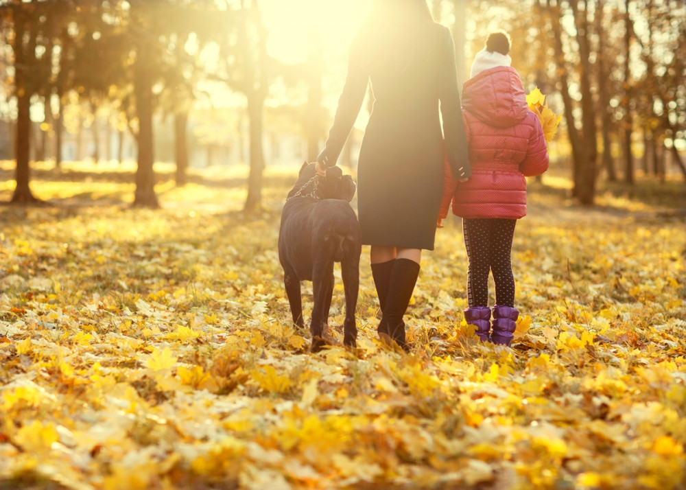 anyuka és gyereke kutyát sétáltatnak az őszi parkban