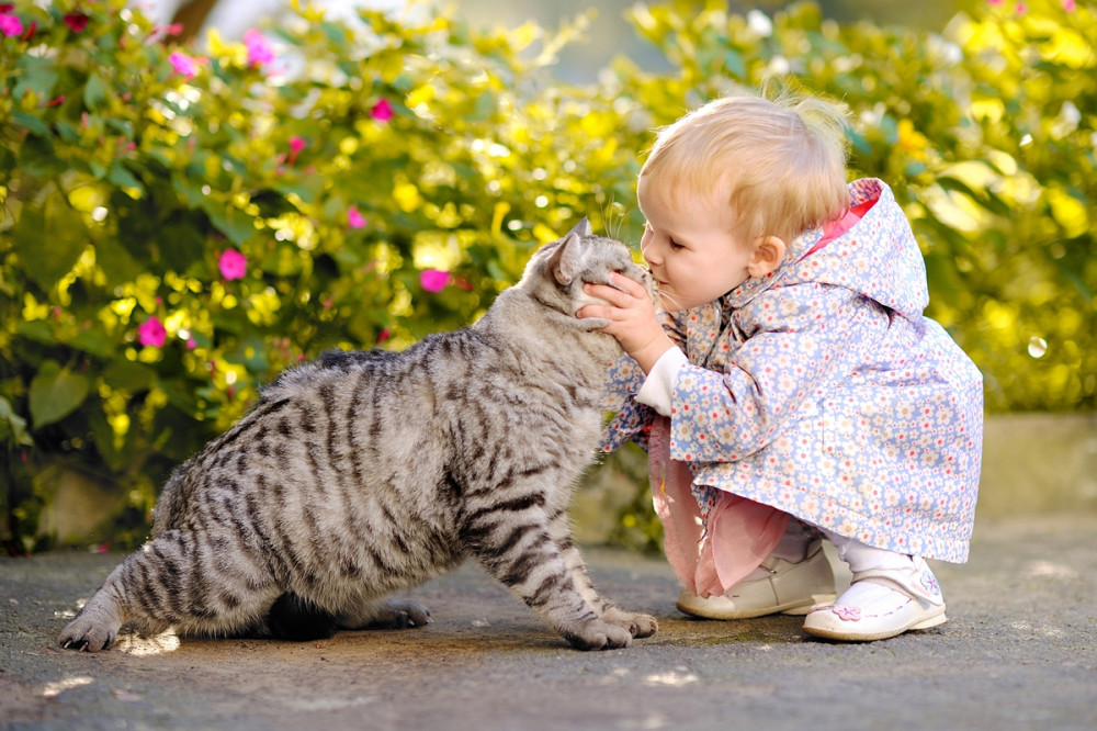pici lány a cicáját puszilgatja