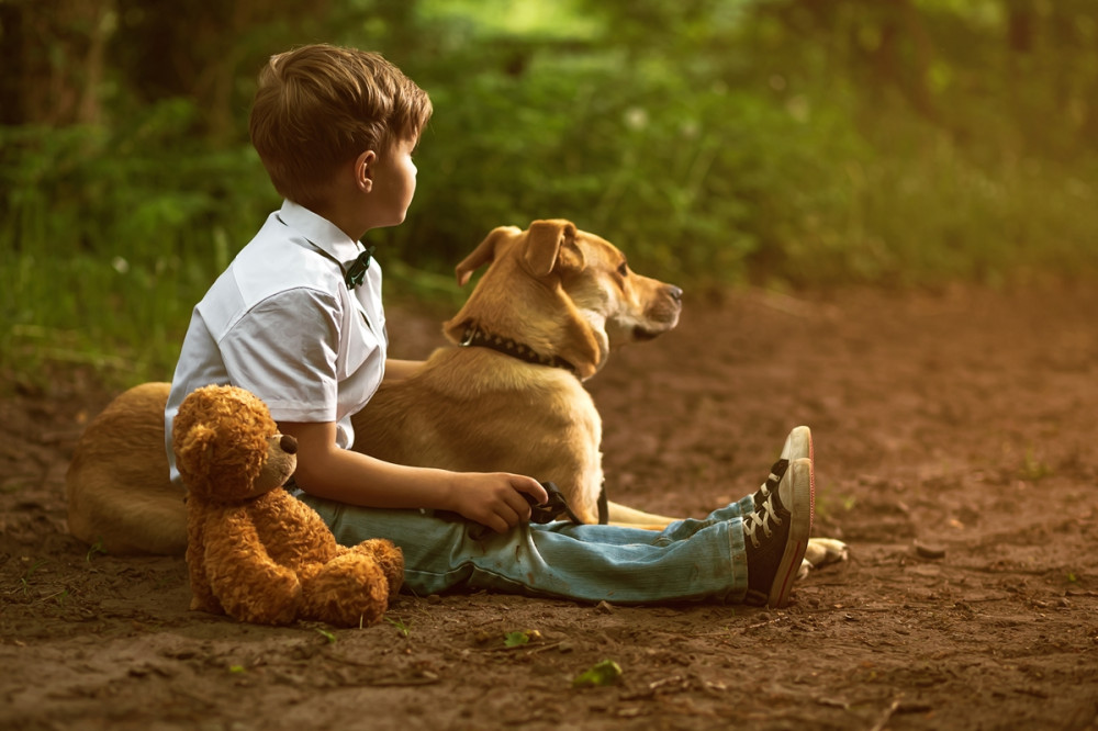kisfiú játékmacijával ül, mellette fekszik a kutyája