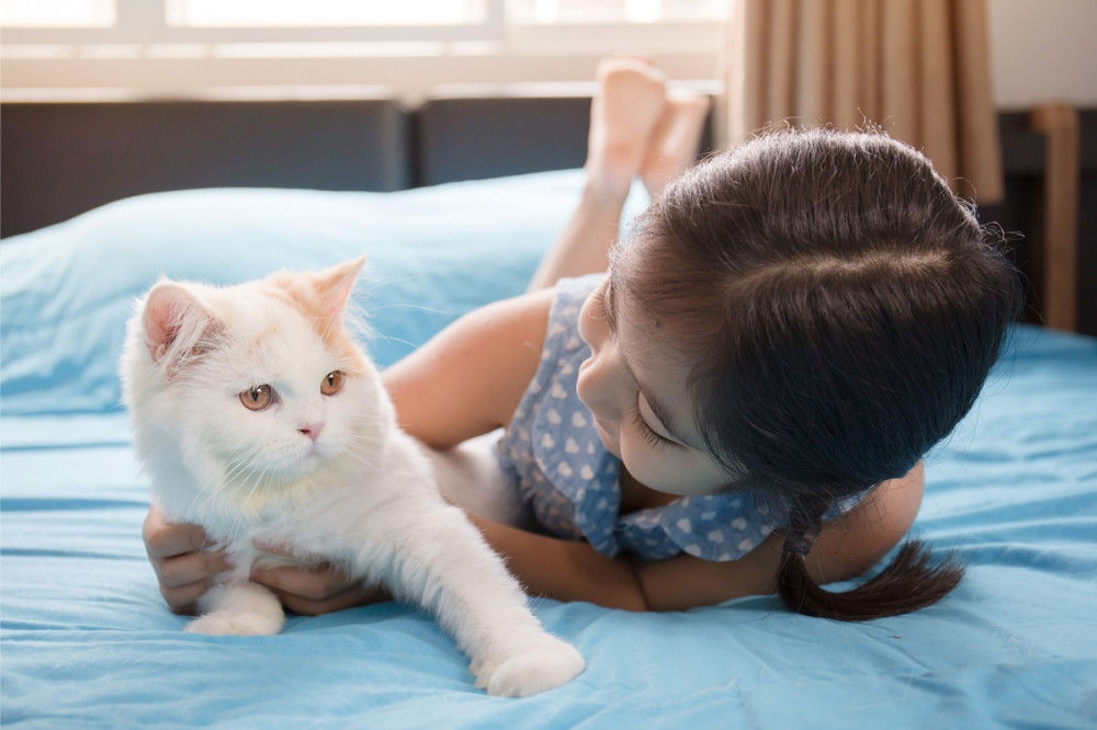 kislány az ágyon heverészve tartja a cicát