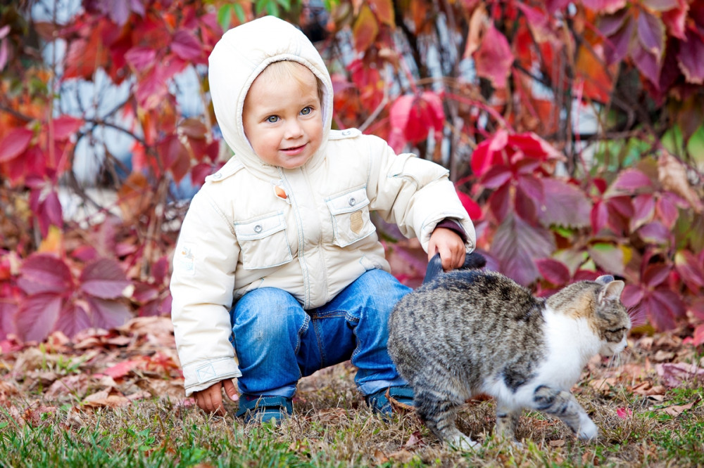 kisgyerek guggol a kertben, cicával játszik