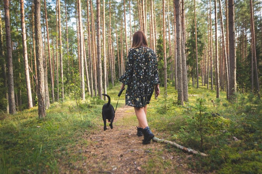 gazdi erdőben sétál a kutyával