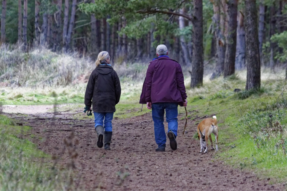 idősebb pár az erdőben sétáltatja a kutyáját