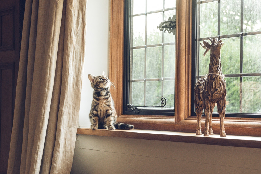 cica az ablakban ül és egy ablakdíszt szemlél