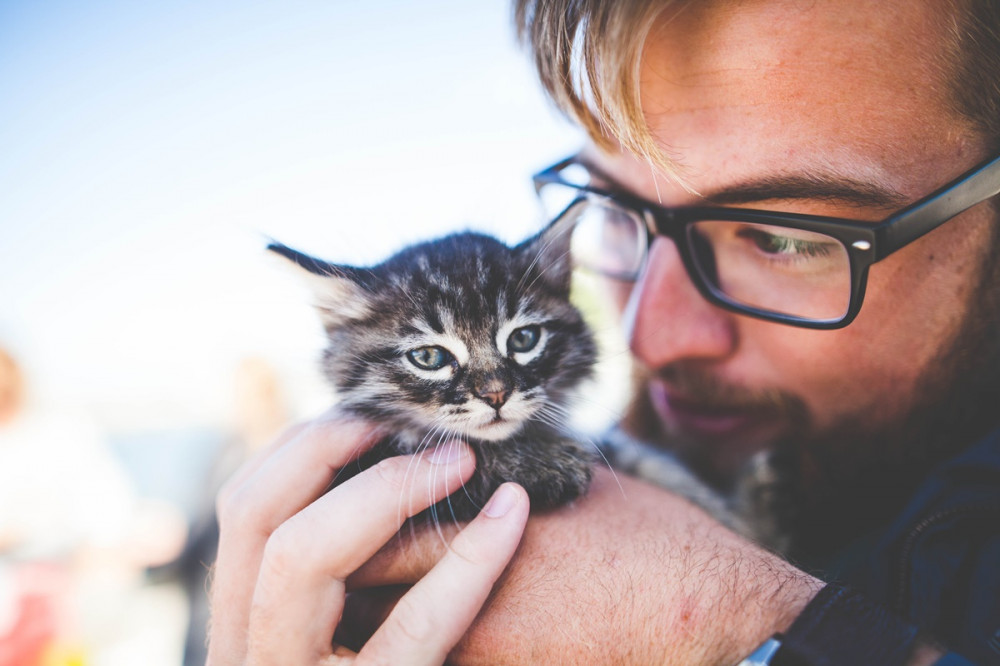 szemüveges férdi apró cicát tart a kezében
