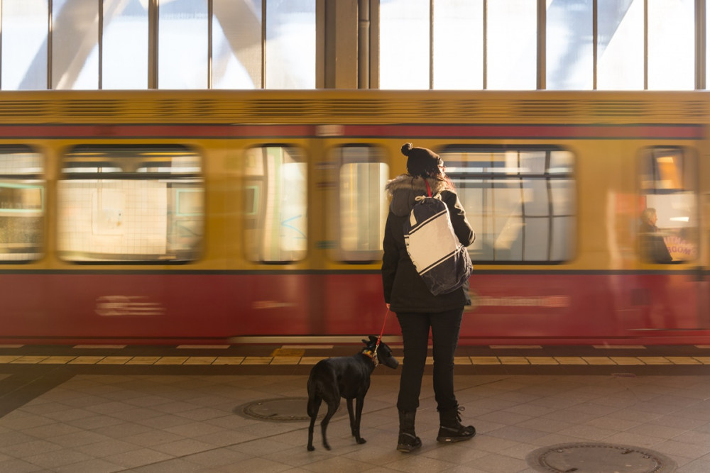 lány kutyájával az elszáguldó vonat előtt áll