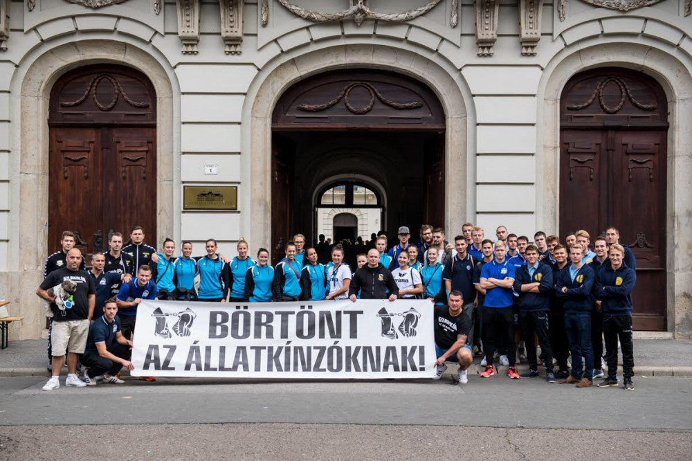 börtönt az állatkínzóknak molinüval szurkolók