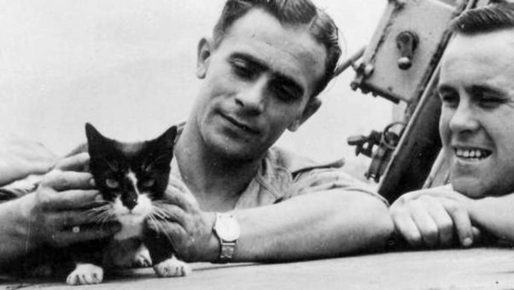 Simon macska tengerészekkel