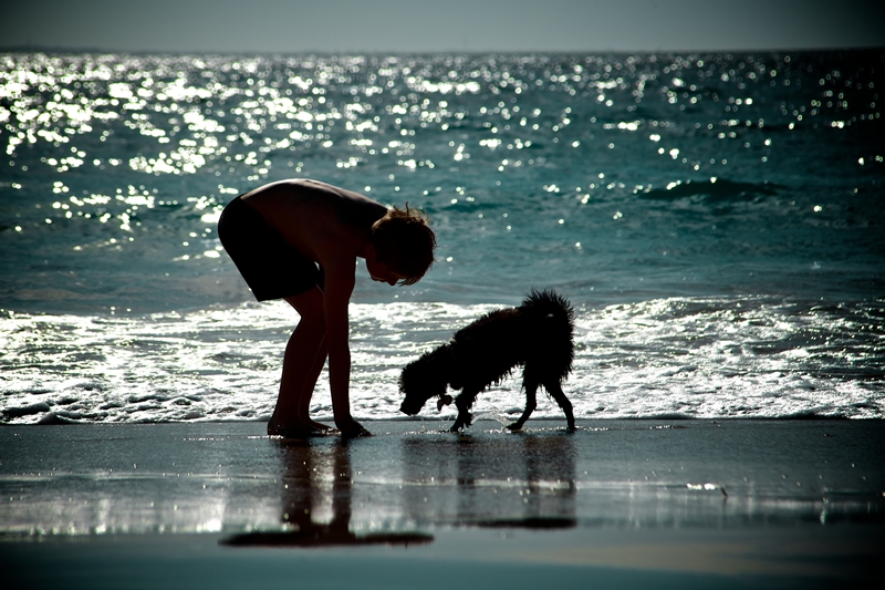 kutya és gazdi naplementekor a tengerparton