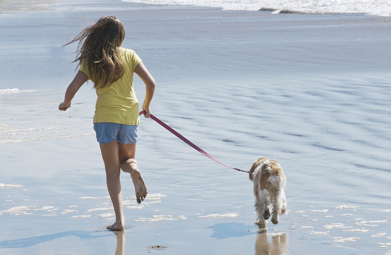gazdi kutyával pórázon a tengerparton fut