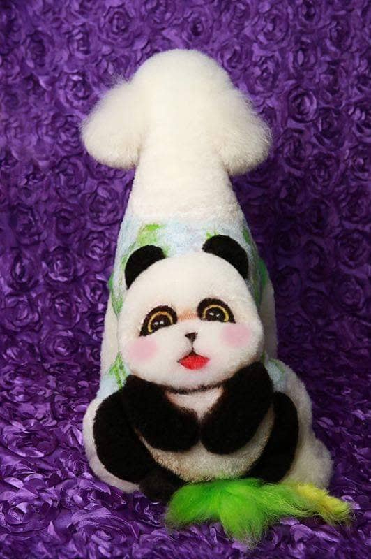 pandára festett és formázott kutya