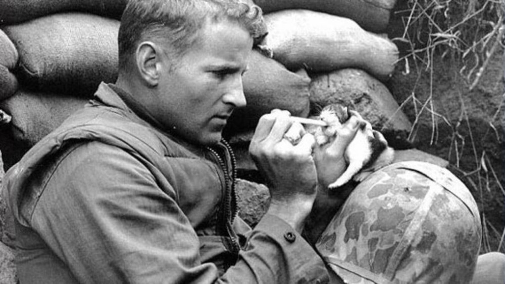 amerikai katona bébimacskát etet