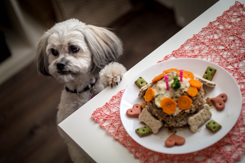 kutyának készített egészséges menü