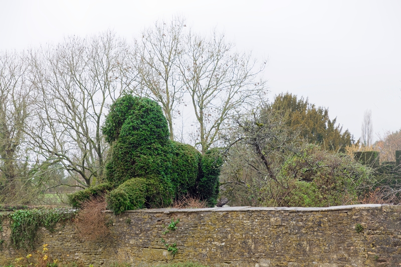 fekvő topiary kutya