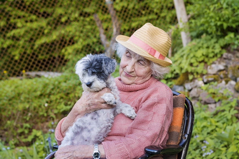 idős hölgy ül, karjában kutyával