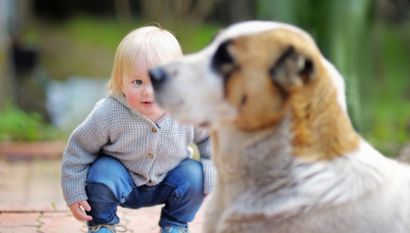 szőke baba guggolva figyeli a kutyát