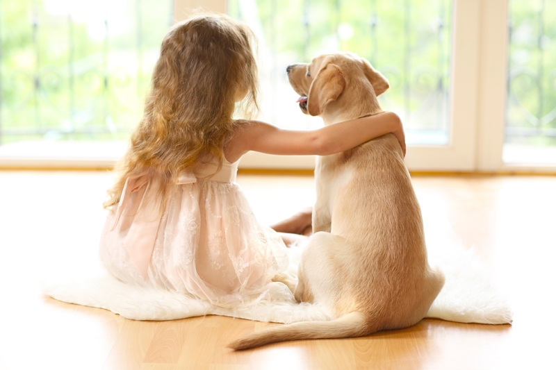 kislány gyengéden öleli a kutyát, és együtt néznek ki az ablakon