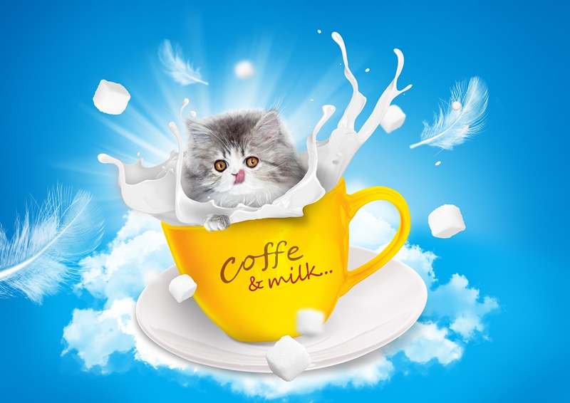 grafika tejeskávéban pancsoló cicáról