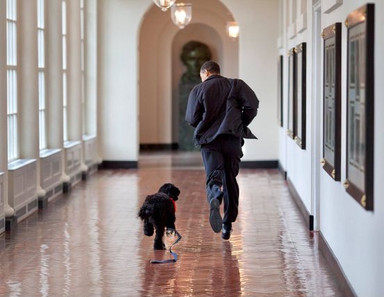 Barack Obama a Fehér Ház folyosóján fut a kutyával