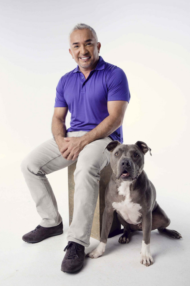Cesar Milan egy kutyával
