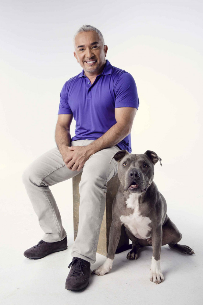 Cesar Milan egy kutyával