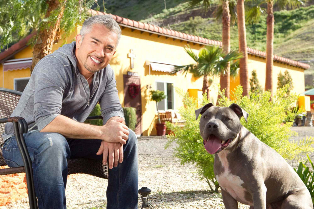 Cesar Milan egy kutyával
