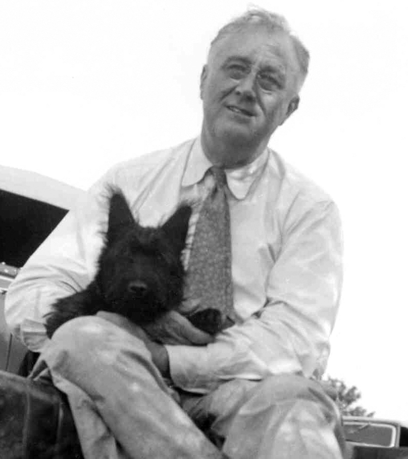 Roosevelt és Fala 1940-ben