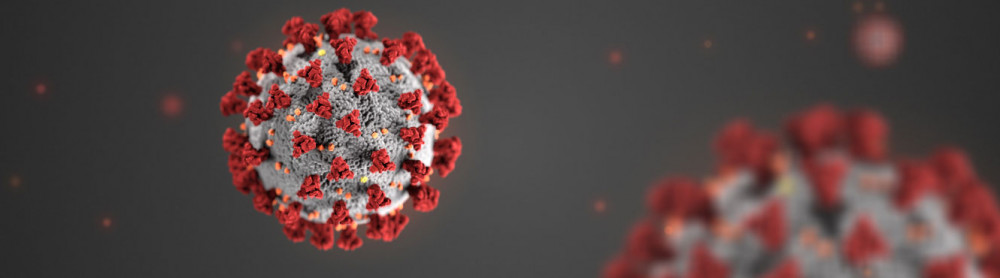 a koronavírus mikroszkopikus képe