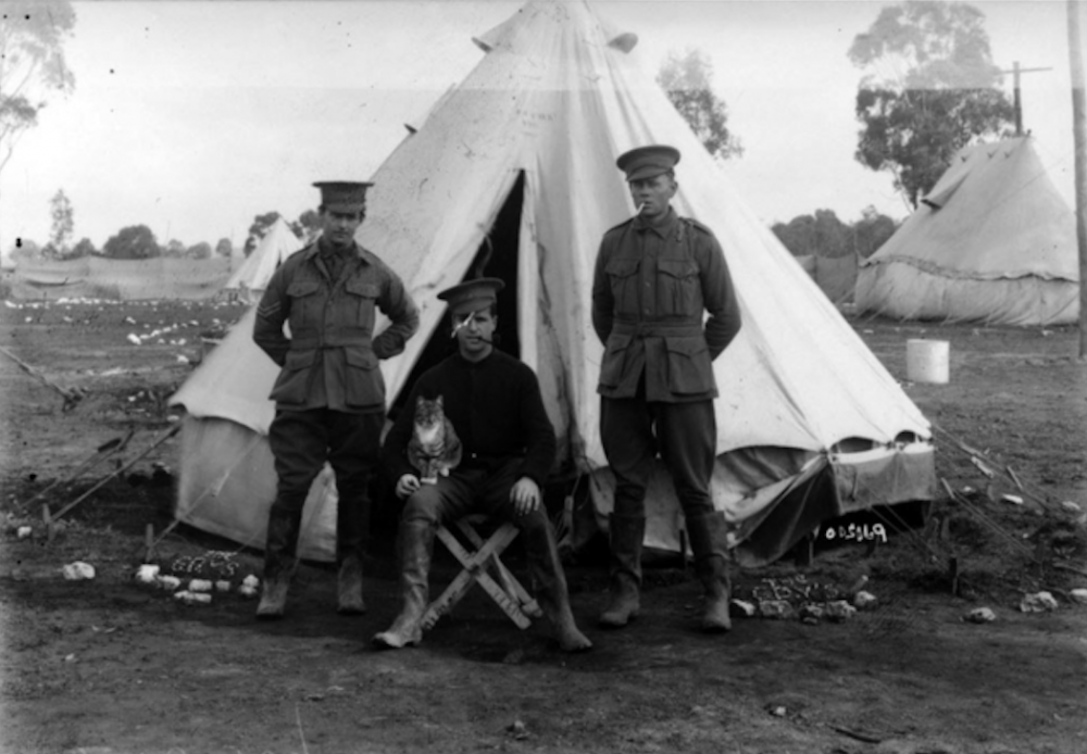 három katona sátor előtt macskával