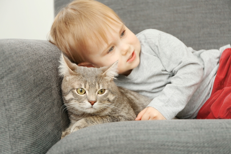 kisfiú a kanapén hever, cicájához bújva