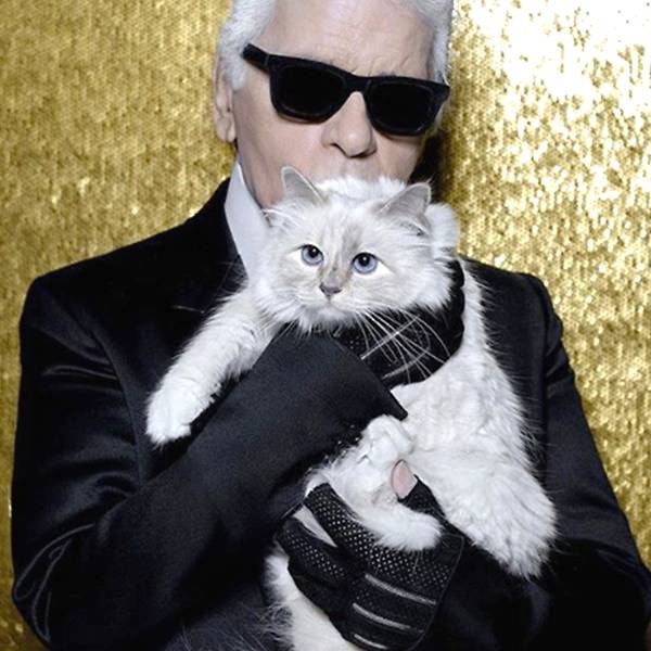 Karl lagerfeld és Choupette