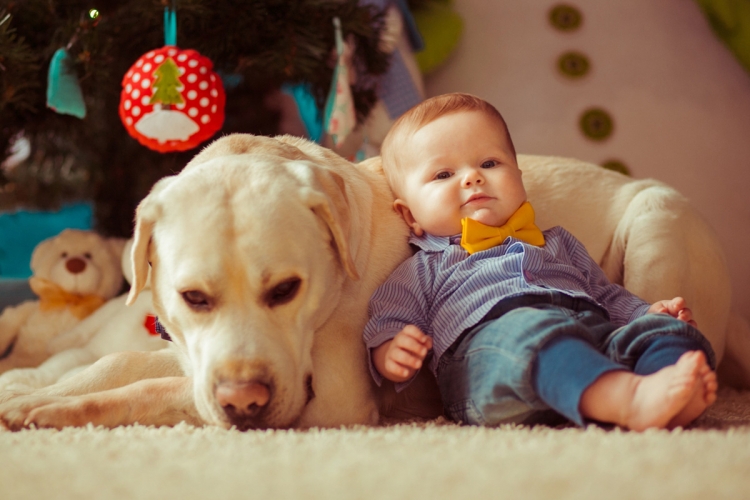 Kutya és gyerek – mennyire biztonságos?