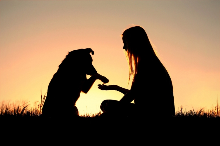 Tippek az első közös hónapra örökbefogadott kutyájával