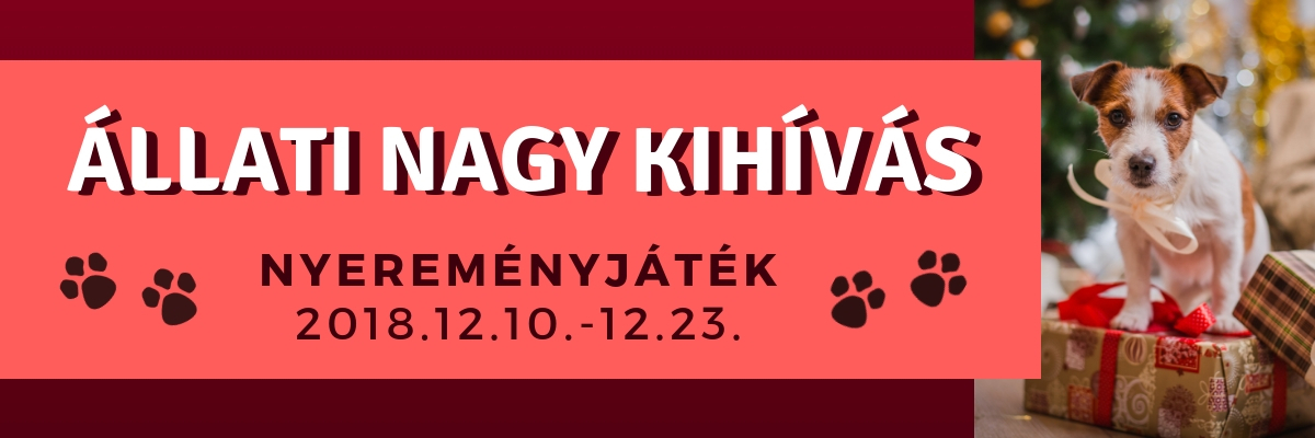Állati Nagy Kihívás december