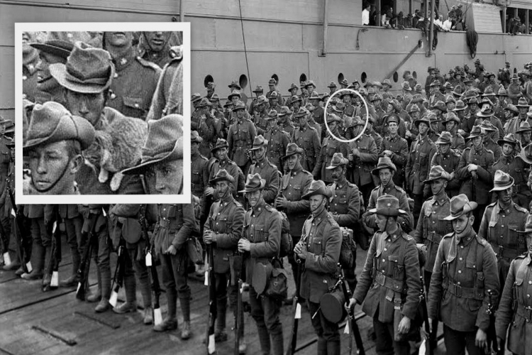 Macskák kulcsfontosságú szerepe a háborúkban