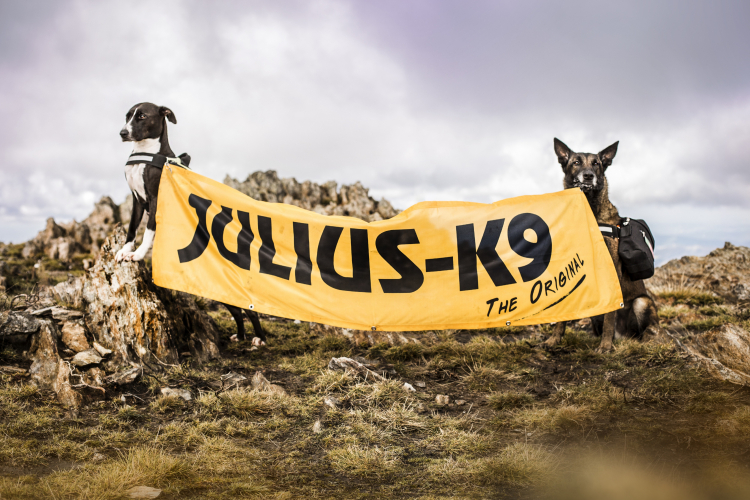 A JULIUS-K9® nemcsak egy táp, hanem egy étrendfilozófia