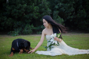 Kutyával, esküvőre