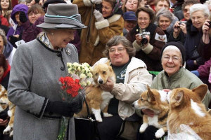 II. Erzsébet királynő és a Welsh Corgi Pembroke